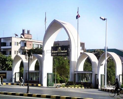 جامعة أسيوط تفتح باب التقديم لمنح دراسية ممولة