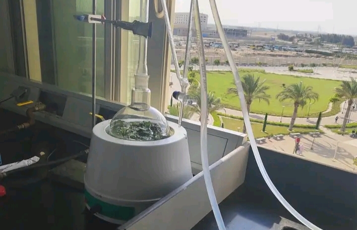 IMG ٢٠٢٦٠١٠٢ ٢٠١١٠٥ صيدلة طلاب صيدلة المنصورة الأهلية يدمجون البحث العلمي والتطبيق العملي في مشاريع عشبية مبتكرة موقع في الجامعة