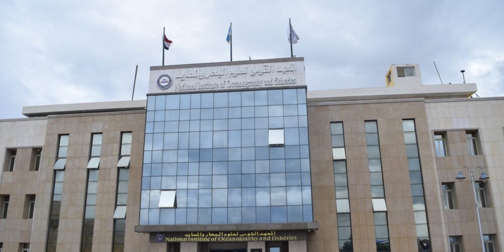 WhatsApp Image 2024 03 17 at 12.09.59 AM 1000x500 1 بحث مبادرة في الجامعة البحثية.. القومي لعلوم البحار ينجح في تعزيز الاستزراع السمكي من خلال موسم الصيد السنوي موقع في الجامعة