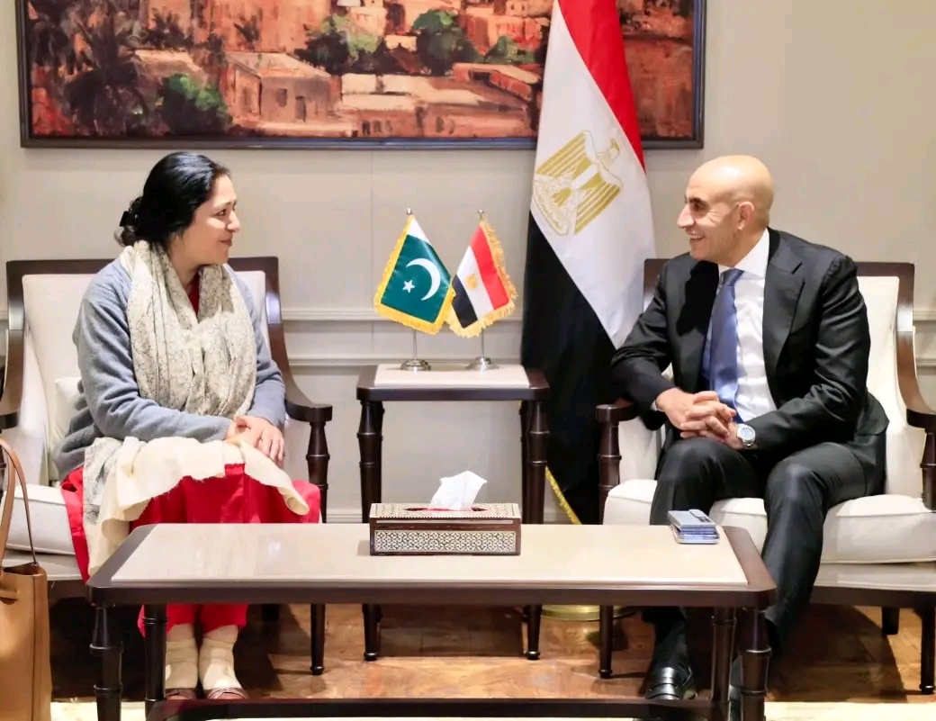 1770113630926 النموذج الاسترشادي الثالث لمادة الجغرافيا السياسية مصر وباكستان تبحثان تعزيز الشراكة التعليمية وتبادل الخبرات في التعليم قبل الجامعي والفني موقع في الجامعة