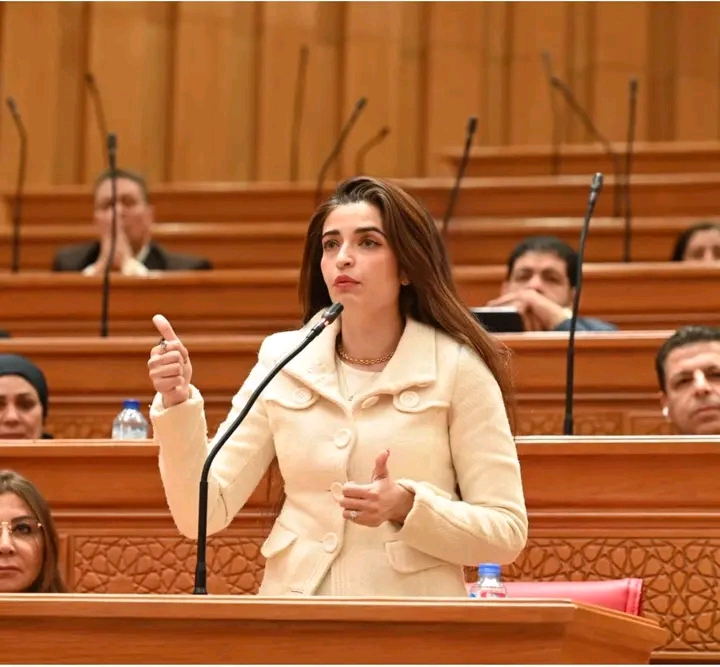 النائبة الدكتورة إيرين سعيد عضو مجلس النواب