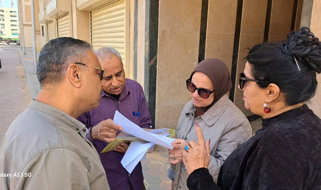 تعليم القاهرة