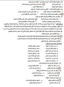 17d89a42 faa2 408f 9dc2 843f43bc85fb 1 النماذج الاسترشادية للثانوية العامة 2026 لن تخرج عنها الامتحانات.. كل ما تريد معرفته عن النماذج الاسترشادية للثانوية العامة 2026.. موعد طرحها ورابط تحميلها موقع في الجامعة