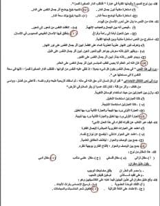 1fb66656 2e7d 43a6 a106 4015a576caa3 نماذج العربي الاسترشادية للثانوية العامة تدرب على شكل الامتحان.. نماذج العربي الاسترشادية للثانوية العامة طبقًا لعام 2025 بالإجابات موقع في الجامعة