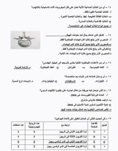 286523b1 70fb 4be6 9a41 f0b17d8a83ec النماذج الاسترشادية للثانوية العامة 2026 لن تخرج عنها الامتحانات.. كل ما تريد معرفته عن النماذج الاسترشادية للثانوية العامة 2026.. موعد طرحها ورابط تحميلها موقع في الجامعة