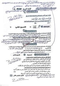 317 حل التقييم الأسبوعي الثاني لمادة العربي حل التقييم الأسبوعي الثاني لمادة العربي لطلاب الصف الخامس الابتدائي ترم ثاني 2026 موقع في الجامعة