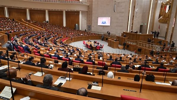 نائبة بالشيوخ تقترح منظومة وقائية لحماية الطلاب