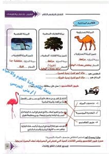 حلول تقييم الأسبوع الأول لمادة العلوم للصف السادس الابتدائي بالترم الثاني 2026 3 حلول تقييم الأسبوع الأول لمادة العلوم للصف السادس الابتدائي