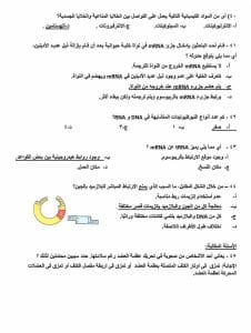 984b8608 23e6 4e0c 8b5a 2aac647dedd1 النماذج الاسترشادية للثانوية العامة 2026 لن تخرج عنها الامتحانات.. كل ما تريد معرفته عن النماذج الاسترشادية للثانوية العامة 2026.. موعد طرحها ورابط تحميلها موقع في الجامعة
