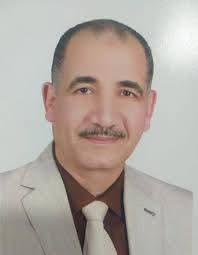 الدكتور جمال محروس عميد كلية الهندسة بجامعة المنوفية 