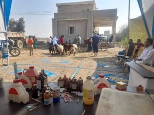 مبادرة في الجامعة البحثية.. بحوث التناسليات الحيوانية يوسع أنشطته الميدانية والتدريبية بدعم من الاتحاد الأوروبي 2 بحوث التناسليات الحيوانية