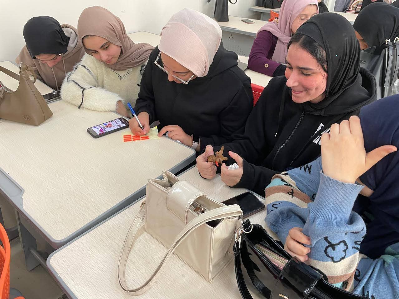 جامعة المنصورة الأهلية
