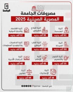 مصروفات الجامعة المصرية الصينية.. كل ما تريد معرفته عن تكاليف الكليات 3 موقع في الجامعة ينشر مصروفات الجامعة المصرية الصينية
