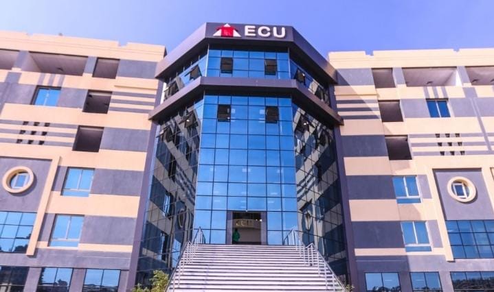 الجامعة المصرية الصينية