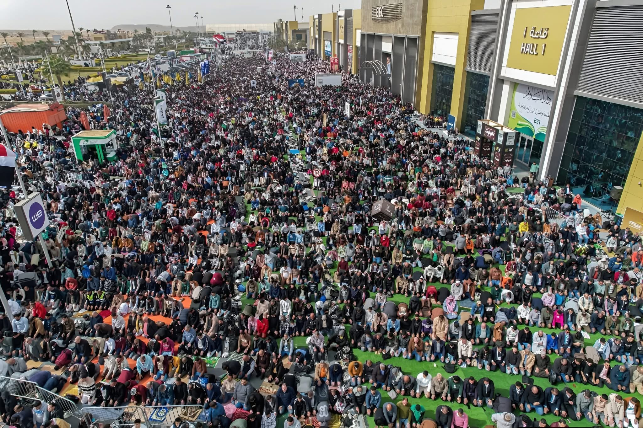 معرض الكتاب 2026