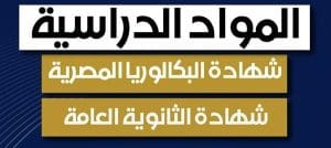 IMG 2782 البكالوريا أم الثانوية العامة البكالوريا أم الثانوية العامة؟.. اعرف الفرق بين النظامين قبل اتخاذ القرار موقع في الجامعة