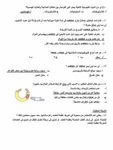 IMG 2985 نموذج استرشادي للأحياء بالإجابات استعد للامتحان.. نموذج استرشادي للأحياء بالإجابات طبقًا للعام الماضي 2025 موقع في الجامعة