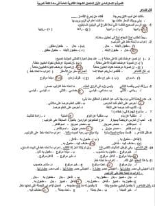 راجع بذكاء.. نموذج استرشادي لمادة اللغة العربية بالإجابات طبقًا للعام الماضي 2025 2 نموذج استرشادي لمادة اللغة العربية