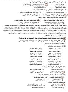 راجع بذكاء.. نموذج استرشادي لمادة اللغة العربية بالإجابات طبقًا للعام الماضي 2025 5 IMG 2991 نموذج استرشادي لمادة اللغة العربية راجع بذكاء.. نموذج استرشادي لمادة اللغة العربية بالإجابات طبقًا للعام الماضي 2025 موقع في الجامعة