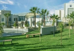 جامعة الأميرة سمية تعلن حاجتها إلى أعضاء هيئة التدريس في عدة تخصصات.. رابط مباشر للتقديم 2 جامعة الأميرة سمية