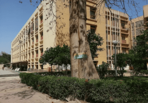 تعيينات جديدة بكلية التجارة جامعة عين شمس| تفاصيل 2 تعيينات جديدة بكلية التجارة جامعة عين شمس| تفاصيل