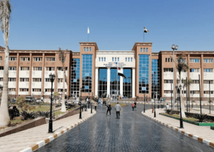جامعة القاهرة الجديدة التكنولوجية.. نظام 2+2 يؤهل الطلاب لمهن المستقبل محليًا وعالميًا 3 IMG ٢٠٢٦٠٢٢٠ ٢٠٤٧٣٢ جامعة القاهرة الجديدة التكنولوجية جامعة القاهرة الجديدة التكنولوجية.. نظام 2+2 يؤهل الطلاب لمهن المستقبل محليًا وعالميًا موقع في الجامعة