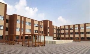 جامعة الصالحية الجديدة تفتح باب التقديم المبكر للعام الجامعي 2026/2027.. التخصصات المتاحة 3 جامعة الصالحية الجديدة