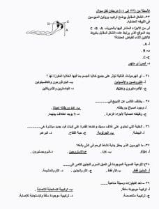 a03097fb 2c6e 4cf3 9427 a817a1803e59 النماذج الاسترشادية للثانوية العامة 2026 لن تخرج عنها الامتحانات.. كل ما تريد معرفته عن النماذج الاسترشادية للثانوية العامة 2026.. موعد طرحها ورابط تحميلها موقع في الجامعة