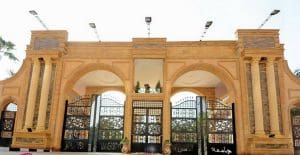 01 1 جامعة المنصورة تعلن اكتشاف حفريات قرد عمره 18 مليون جامعة المنصورة تعلن اكتشاف حفريات قرد عمره 18 مليون سنة في الصحراء الغربية موقع في الجامعة