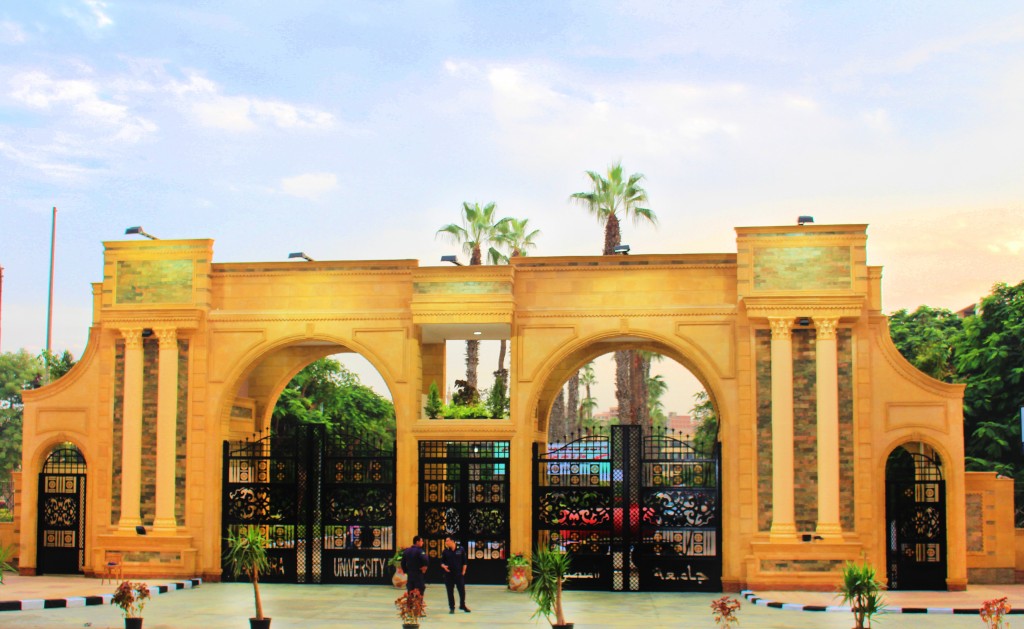 جامعة المنصورة تعلن اكتشاف حفريات قرد عمره 18 مليون سنة