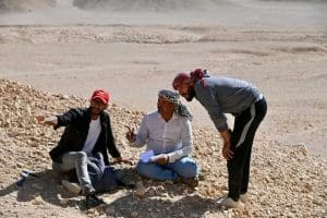 1774730476851 جامعة الوادي الجديد تعلن اكتشاف سلحفاة بحرية كشف علمي عالمي.. جامعة الوادي الجديد تعلن اكتشاف سلحفاة بحرية عملاقة تعود لعصر الديناصورات موقع في الجامعة