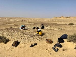 FB IMG 1774556732506 جامعة المنصورة إنجاز مصري عالمي.. جامعة المنصورة تدخل تاريخ “مجلة Science” باكتشاف يعيد رسم تطور القردة العليا موقع في الجامعة