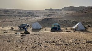 FB IMG 1774556738656 جامعة المنصورة إنجاز مصري عالمي.. جامعة المنصورة تدخل تاريخ “مجلة Science” باكتشاف يعيد رسم تطور القردة العليا موقع في الجامعة