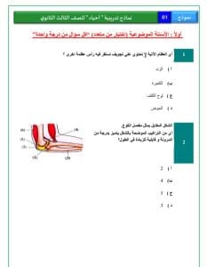 الامتحان في جيبك.. آطلع على النموذج الاسترشادي لمادتي التاريخ والأحياء