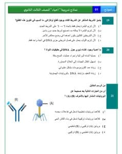 الامتحان في جيبك.. آطلع على النموذج الاسترشادي لمادتي التاريخ والأحياء