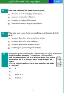 رسميًا.. نشر النماذج الاسترشادية للغة العربية والأحياء بالإنجليزية