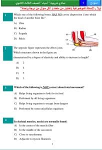 رسميًا.. نشر النماذج الاسترشادية للغة العربية والأحياء بالإنجليزية