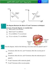 IMG 20260308 WA0183 النماذج الاسترشادية للغة العربية والأحياء بالإنجليزية رسميًا.. ننشر النماذج الاسترشادية للغة العربية والأحياء بالإنجليزية موقع في الجامعة