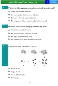 رسميًا.. نشر النماذج الاسترشادية للغة العربية والأحياء بالإنجليزية