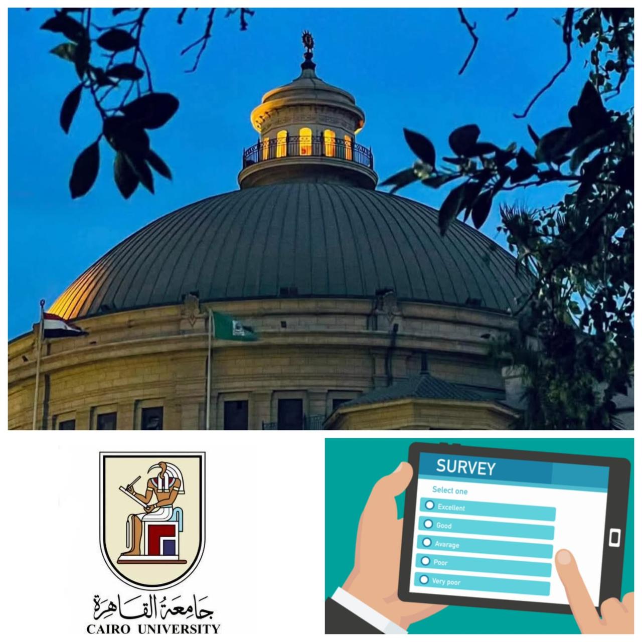 إطلاق استبيان جامعة القاهرة للخريجين لمتابعة أوضاعهم في سوق العمل.. إليك التفاصيل