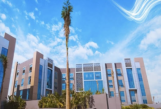 IMG 4238 مصروفات جامعة مايو بالقاهرة دليل الطلاب للالتحاق بجامعة مايو بالقاهرة.. الكليات ومصاريف الدراسة 2026 موقع في الجامعة