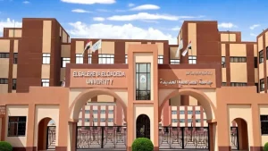 وظائف جامعة الصالحية الجديدة