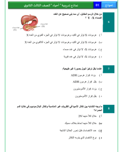 IMG ٢٠٢٦٠٣٠٢ ٢١٣٦٤٩ النموذج الاسترشادي الأول للأحياء للثانوية  18 صفحة من الأسئلة المتوقعة.. انطلاق النموذج الاسترشادي الأول للأحياء للثانوية العامة 2026 موقع في الجامعة