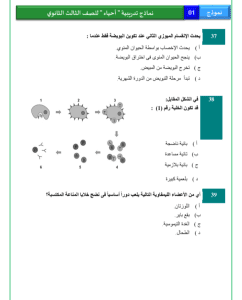 IMG ٢٠٢٦٠٣٠٢ ٢١٣٨٥٨ النموذج الاسترشادي الأول للأحياء للثانوية  18 صفحة من الأسئلة المتوقعة.. انطلاق النموذج الاسترشادي الأول للأحياء للثانوية العامة 2026 موقع في الجامعة