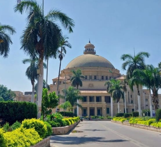 خبراء التعليم يحددون خطة إصلاح الجامعات