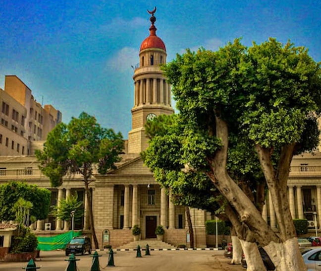 قصر العيني