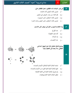 IMG ٢٠٢٦٠٣١٣ ٢١٤٧١٧ النموذج الاسترشادي الثاني للأحياء عربي لطلاب الثانوية 46 سؤالًا للتدريب قبل الامتحان.. النموذج الاسترشادي الثاني للأحياء عربي لطلاب الثانوية العامة 2026 موقع في الجامعة