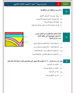 IMG ٢٠٢٦٠٣١٣ ٢١٤٧٤٢ 1 نماذج الأحياء والإحصاء عربي نموذج 2 للثانوية العامة حملها الآن.. نماذج الأحياء والإحصاء عربي نموذج 2 للثانوية العامة 2026 موقع في الجامعة