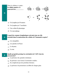 IMG ٢٠٢٦٠٣١٦ ٢٢٠١٢٣ شكل امتحان الأحياء بالفرنسية للثانوية العامة 2026 اعرف شكل امتحان الأحياء بالفرنسية للثانوية العامة 2026.. نموذج استرشادي يضم 46 سؤالًا موقع في الجامعة