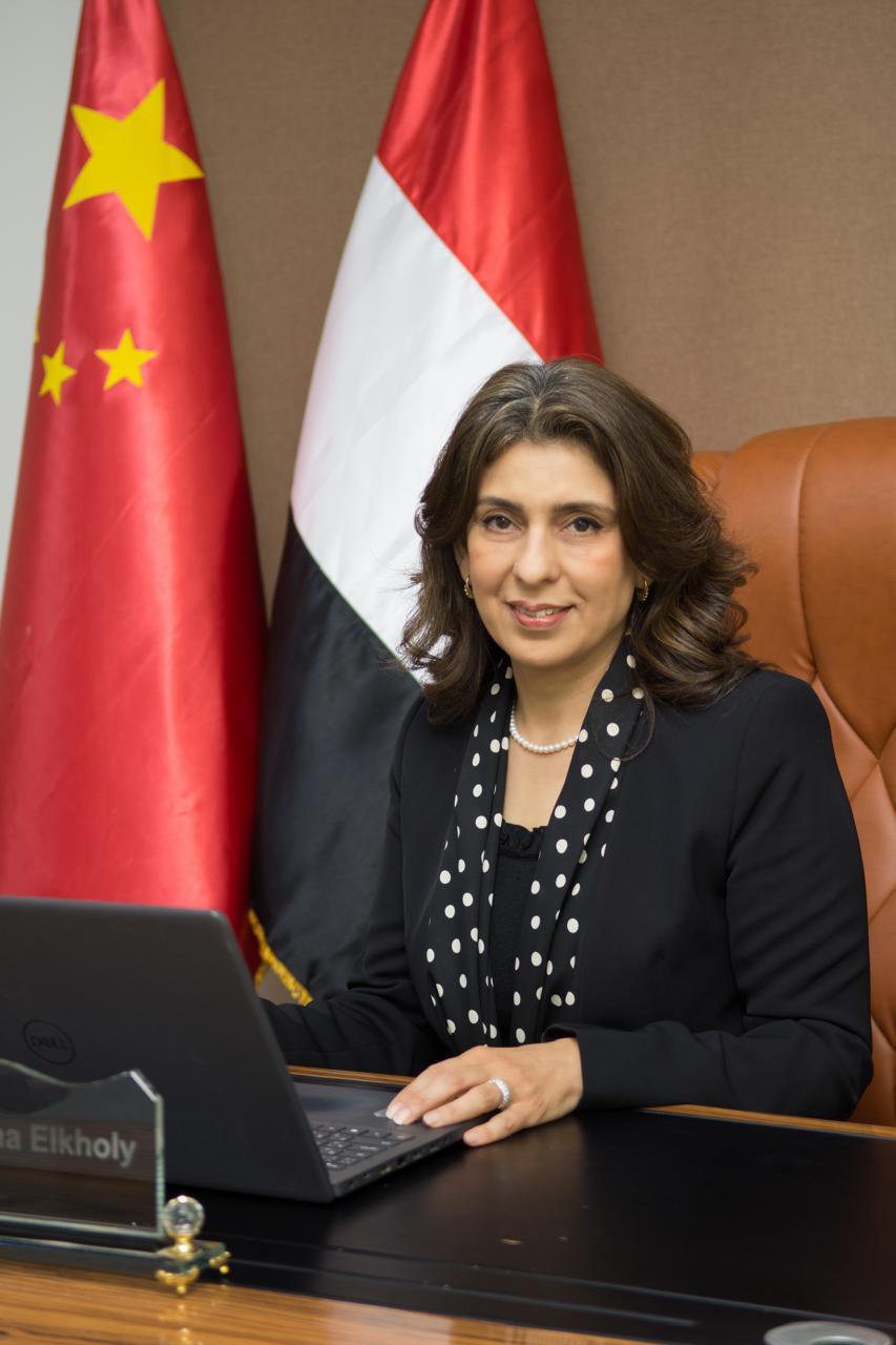 رئيس الجامعة المصرية الصينية تكشف لـ«في الجامعة» خطط التوسع الأكاديمي والابتكار التكنولوجي خلال 2026 2 الدكتورة رشا الخولي، رئيس الجامعة المصرية الصينية:12 كلية و45 برنامجًا أكاديميًا.. واستعدادات لافتتاح كلية الطب في 2026